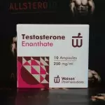 Watson New Testosterone Enanthate 250mg/ml - ЦЕНА ЗА 10 ампул