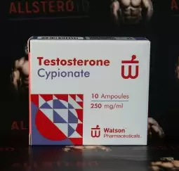 Watson New Testosterone Cypionate 250mg/ml - ЦЕНА ЗА 10 ампул