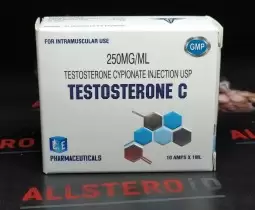 ICE TESTOSTERONE C 250mg/ml - ЦЕНА ЗА 1 АМПУЛУ